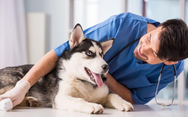 ZM-lancement prix mérite 2026